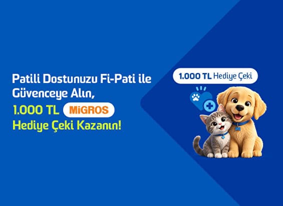 Patili Dostunuzu Fi-Pati ile Güvenceye Alın