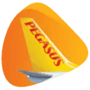 Pegasus
