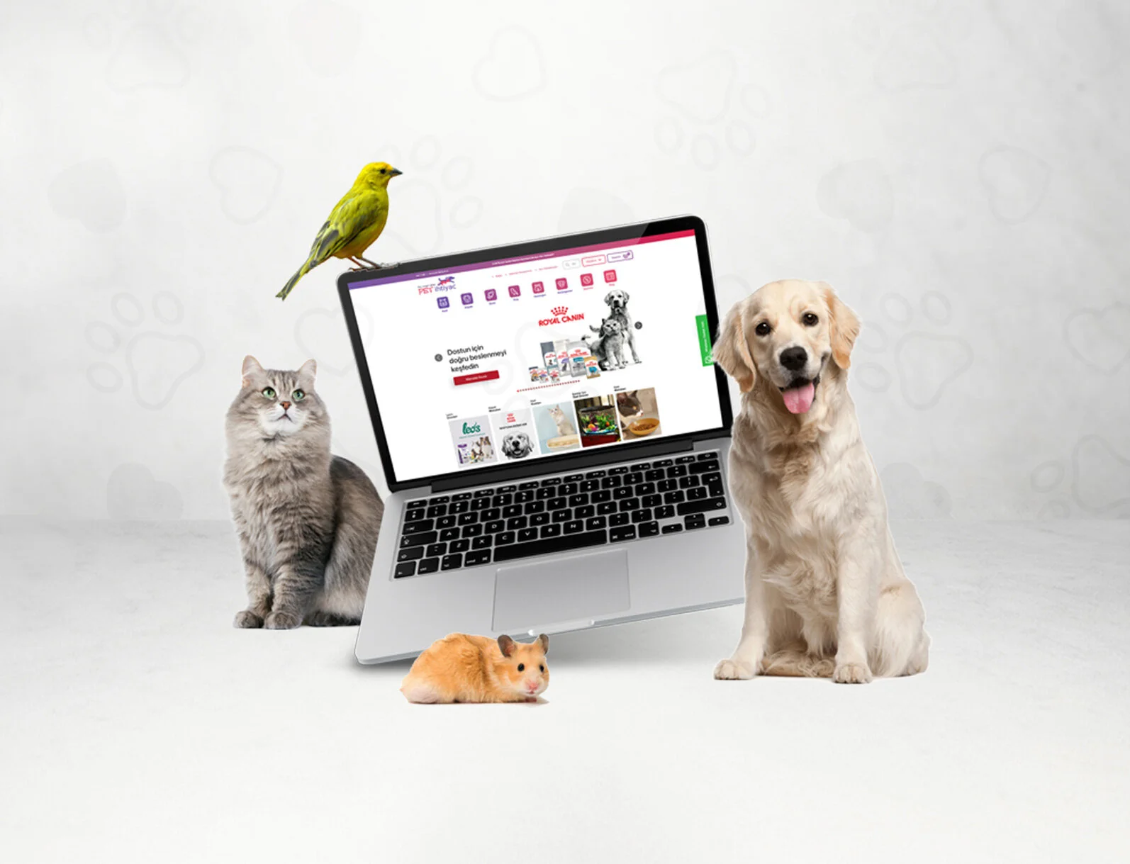 Petihtiyac.com'da %10 Paracık Fırsatı!