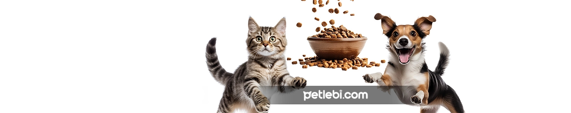 Petlebi’de 2.000 TL ve üzeri alışverişlerinizde 300 TL indirim